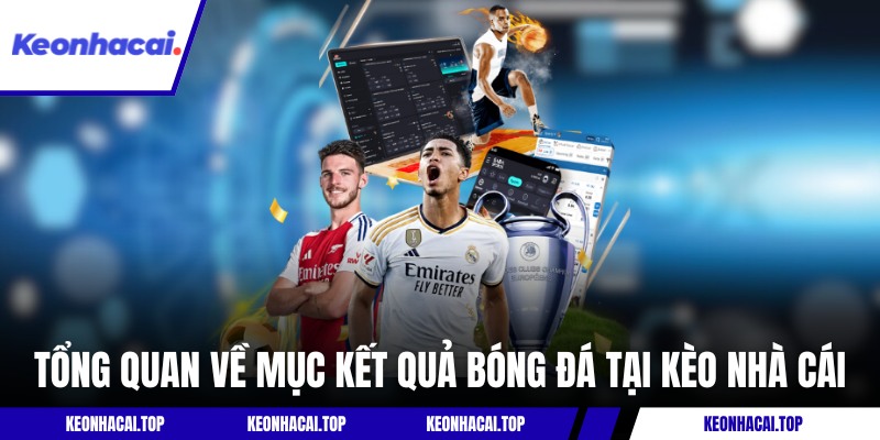 Tổng quan về mục kết quả bóng đá tại Kèo Nhà Cái